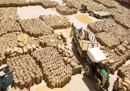 Grain Market, Khanna