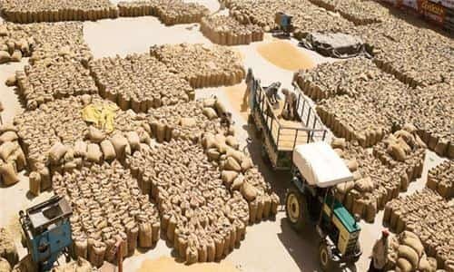Grain Market, Khanna