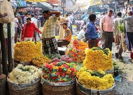 Gudimalkapur Flower Market, Hyderabad