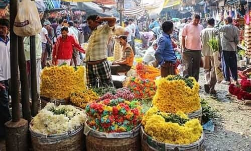 Gudimalkapur Flower Market, Hyderabad