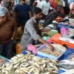 Kolathur Fish Market, Chennai: A Bustling Seafood Hub in Jawahar Nagar