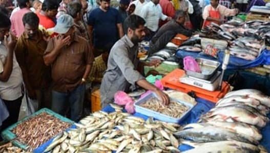 Kolathur Fish Market, Chennai