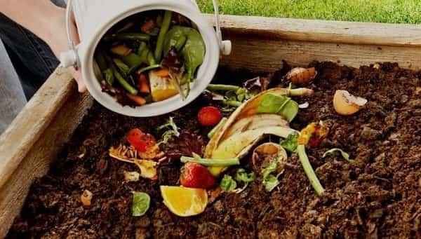 Backyard Composting/Waste Business