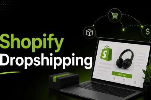Dropshipping via Shopify Business