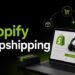 Dropshipping via Shopify Business