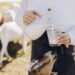 Goat Milk Business