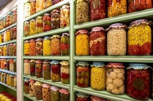 Pickle Making Business