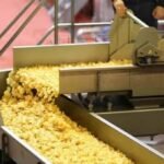 Potato Chips Manufacturing Business Advantages and Disadvantages