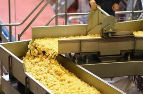 Potato Chips Manufacturing Business