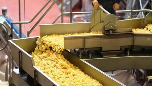 Potato Chips Manufacturing Business