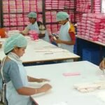Sanitary Napkin Manufacturing Business Advantages and Disadvantages