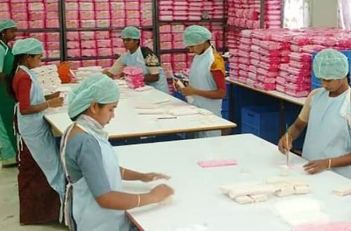 Sanitary Napkin Manufacturing Business